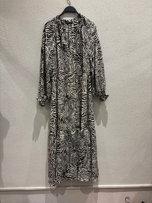 Z Dress 0259